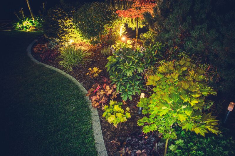 Garden Accent Lights